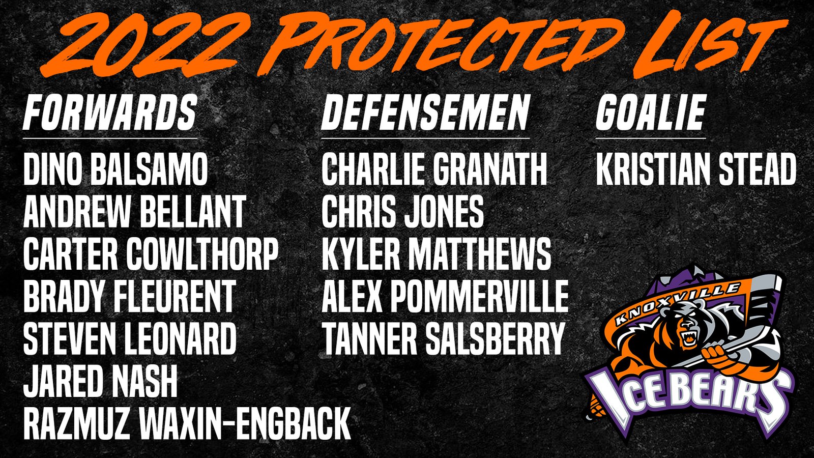 Pro Hockey – Knoxville Ice Bears announce 2022 protected list – SPORTS